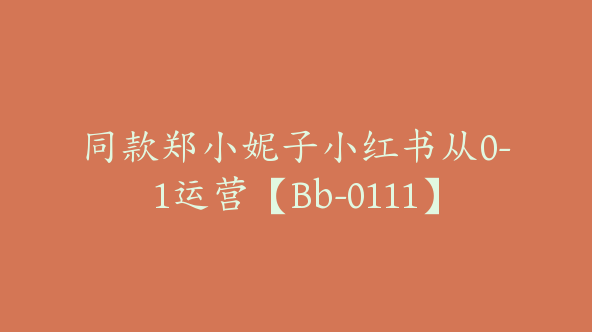 同款郑小妮子小红书从0-1运营【Bb-0111】