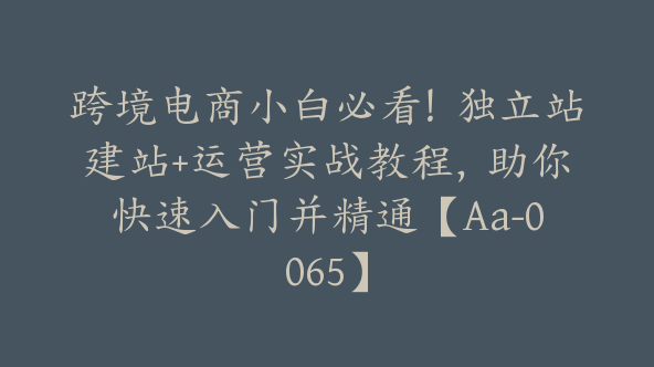 跨境电商小白必看！独立站建站+运营实战教程，助你快速入门并精通【Aa-0065】