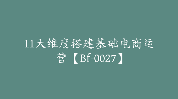 11大维度搭建基础电商运营【Bf-0027】