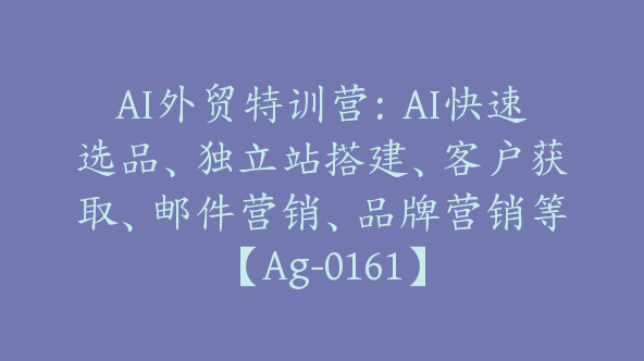 AI外贸特训营：AI快速选品、独立站搭建、客户获取、邮件营销、品牌营销等【Ag-0161】