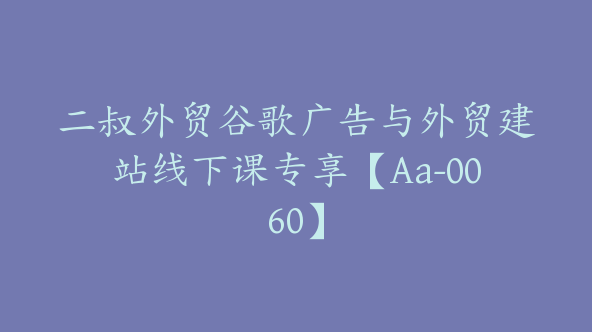 二叔外贸谷歌广告与外贸建站线下课专享【Aa-0060】
