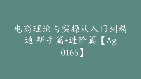 电商理论与实操从入门到精通 新手篇+进阶篇【Ag-0165】