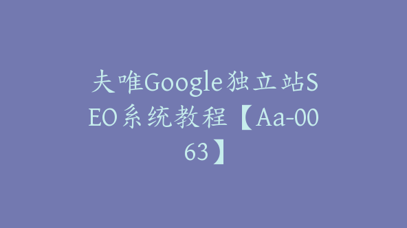 夫唯Google独立站SEO系统教程【Aa-0063】