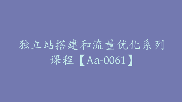 独立站搭建和流量优化系列课程【Aa-0061】