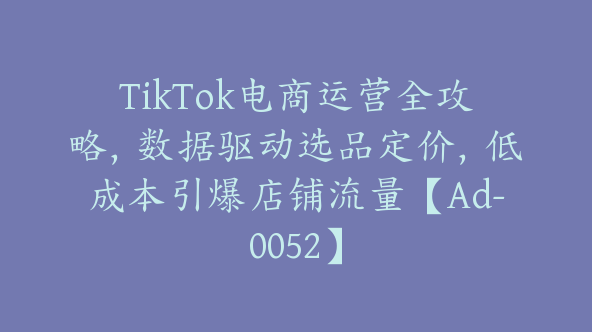 TikTok电商运营全攻略，数据驱动选品定价，低成本引爆店铺流量【Ad-0052】