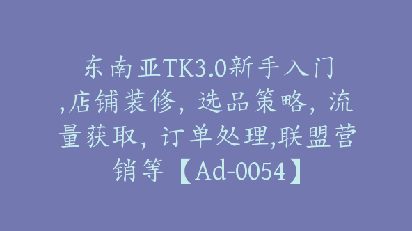 东南亚TK3.0新手入门,店铺装修，选品策略，流量获取，订单处理,联盟营销等【Ad-0054】