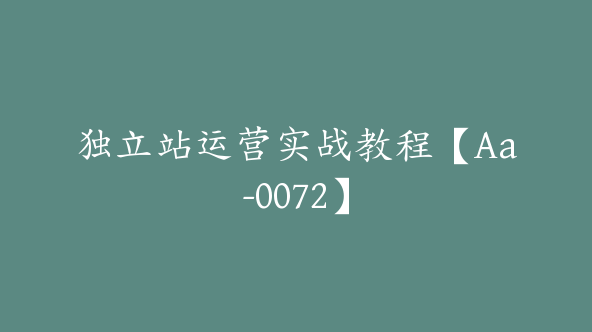 独立站运营实战教程【Aa-0072】