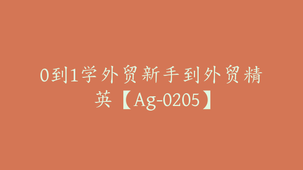 0到1学外贸新手到外贸精英【Ag-0205】