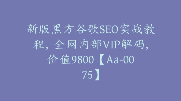 新版黑方谷歌SEO实战教程，全网内部VIP解码，价值9800【Aa-0075】
