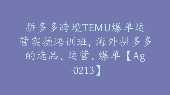 拼多多跨境TEMU爆单运营实操培训班，海外拼多多的选品、运营、爆单【Ag-0213】
