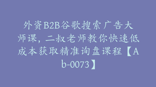 外资B2B谷歌搜索广告大师课，二叔老师教你快速低成本获取精准询盘课程【Ab-0073】