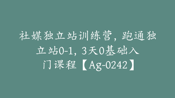 社媒独立站训练营，跑通独立站0-1，3天0基础入门课程【Ag-0242】