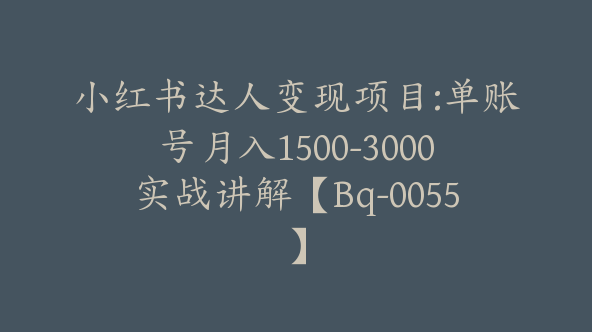小红书达人变现项目:单账号月入1500-3000实战讲解【Bq-0055】