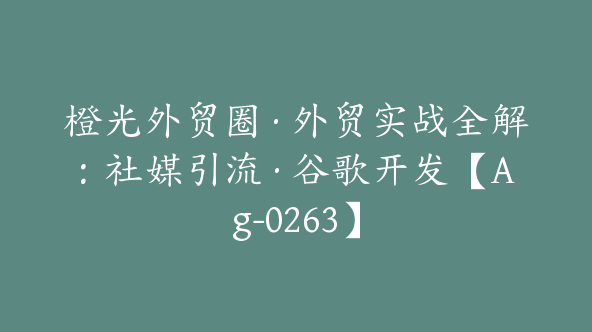 橙光外贸圈·外贸实战全解：社媒引流·谷歌开发【Ag-0263】