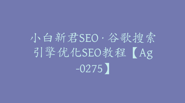小白新君SEO·谷歌搜索引擎优化SEO教程【Ag-0275】