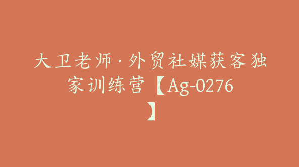 大卫老师·外贸社媒获客独家训练营【Ag-0276】